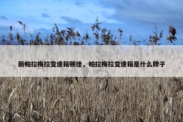 新帕拉梅拉变速箱顿挫，帕拉梅拉变速箱是什么牌子
