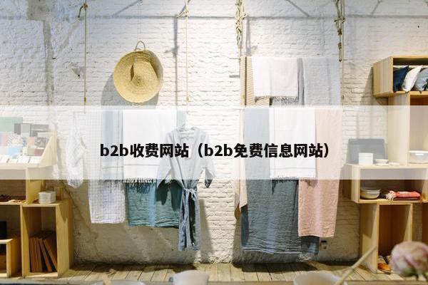 b2b收费网站（b2b免费信息网站）