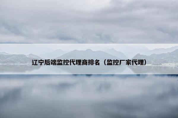 辽宁后端监控代理商排名（监控厂家代理）