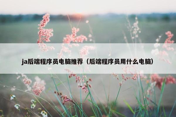 ja后端程序员电脑推荐（后端程序员用什么电脑）