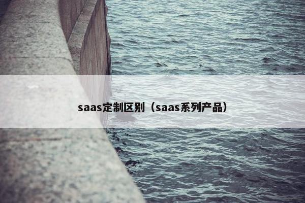 saas定制区别（saas系列产品）