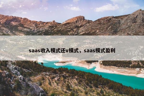 saas收入模式还v模式，saas模式盈利