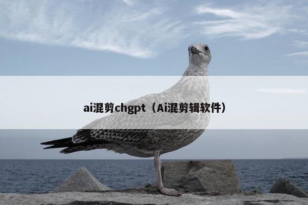 ai混剪chgpt（Ai混剪辑软件）