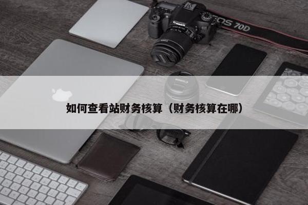 如何查看站财务核算（财务核算在哪）
