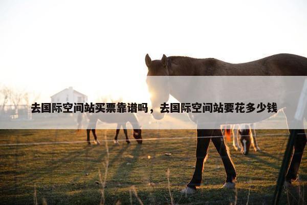 去国际空间站买票靠谱吗，去国际空间站要花多少钱