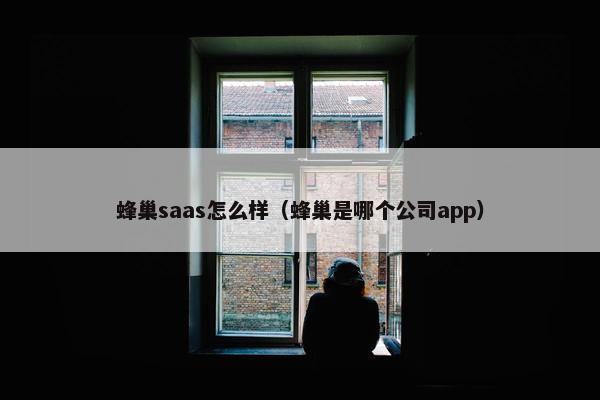 蜂巢saas怎么样（蜂巢是哪个公司app）