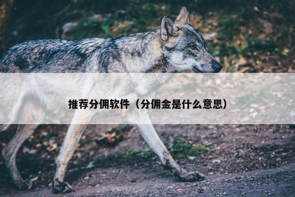 推荐分佣软件（分佣金是什么意思）