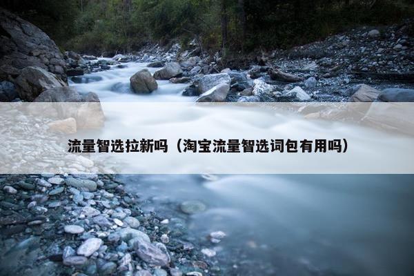 流量智选拉新吗（淘宝流量智选词包有用吗）