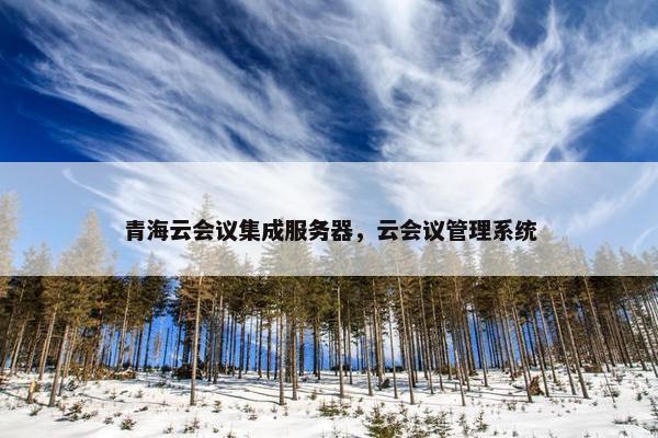 青海云会议集成服务器，云会议管理系统
