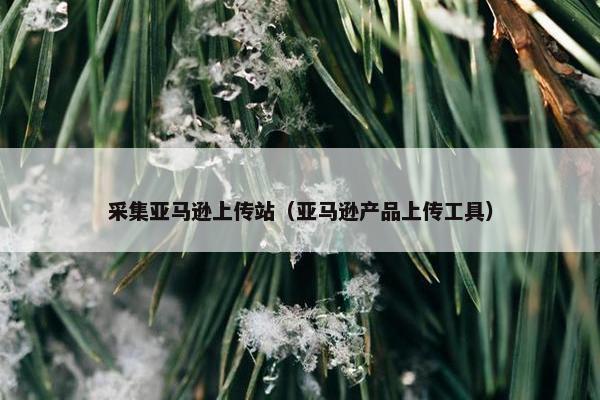 采集亚马逊上传站（亚马逊产品上传工具）