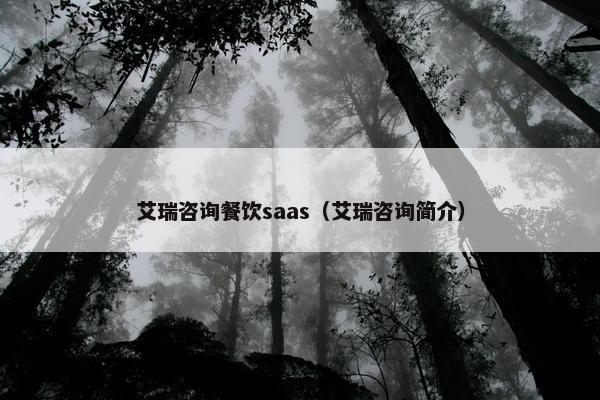 艾瑞咨询餐饮saas（艾瑞咨询简介）