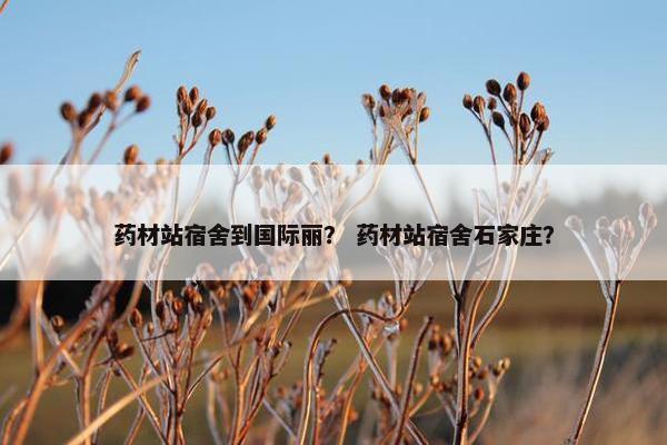 药材站宿舍到国际丽？ 药材站宿舍石家庄？