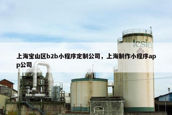 上海宝山区b2b小程序定制公司，上海制作小程序app公司