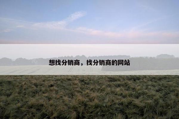 想找分销商，找分销商的网站