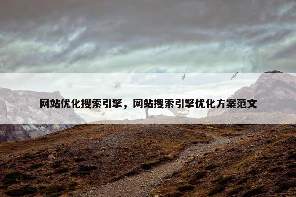网站优化搜索引擎，网站搜索引擎优化方案范文