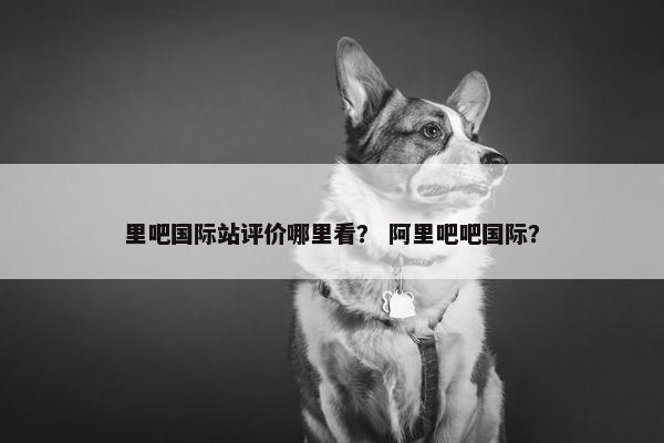 里吧国际站评价哪里看？ 阿里吧吧国际？