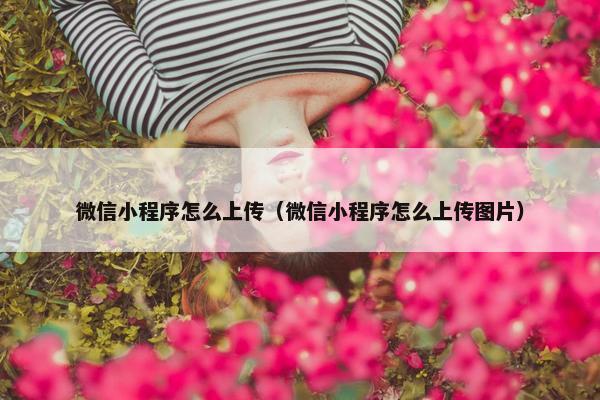 微信小程序怎么上传（微信小程序怎么上传图片）