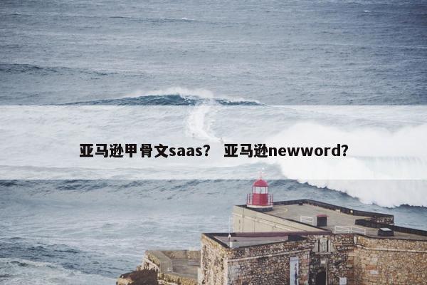 亚马逊甲骨文saas？ 亚马逊newword？