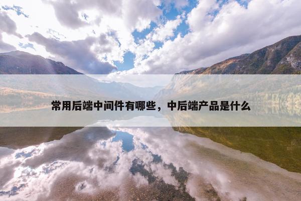 常用后端中间件有哪些，中后端产品是什么