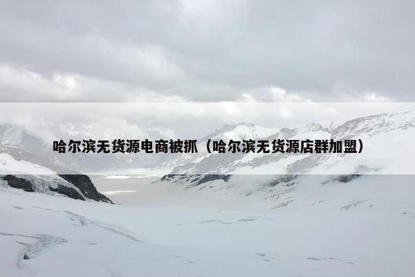 哈尔滨无货源电商被抓（哈尔滨无货源店群加盟）