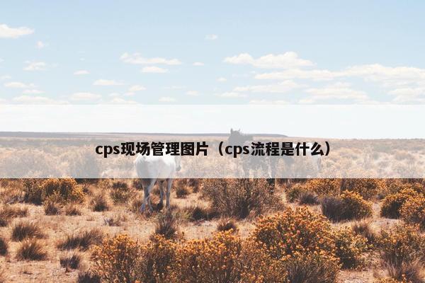 cps现场管理图片（cps流程是什么）