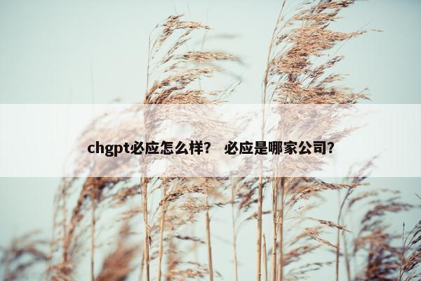 chgpt必应怎么样？ 必应是哪家公司？