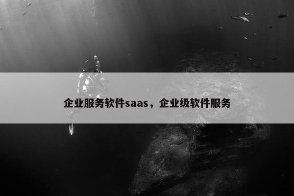 企业服务软件saas，企业级软件服务