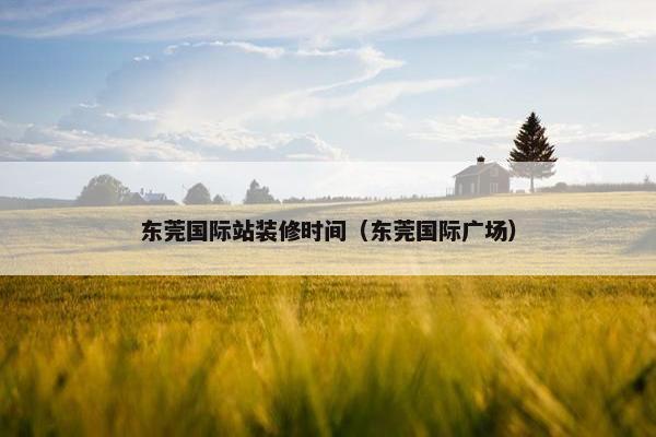 东莞国际站装修时间（东莞国际广场）