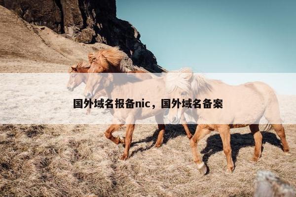 国外域名报备nic，国外域名备案