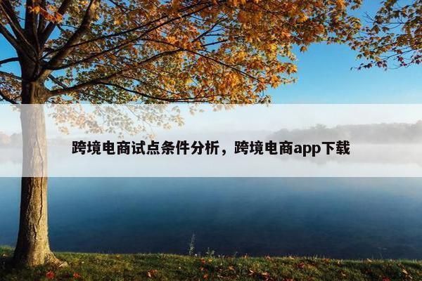 跨境电商试点条件分析，跨境电商app下载
