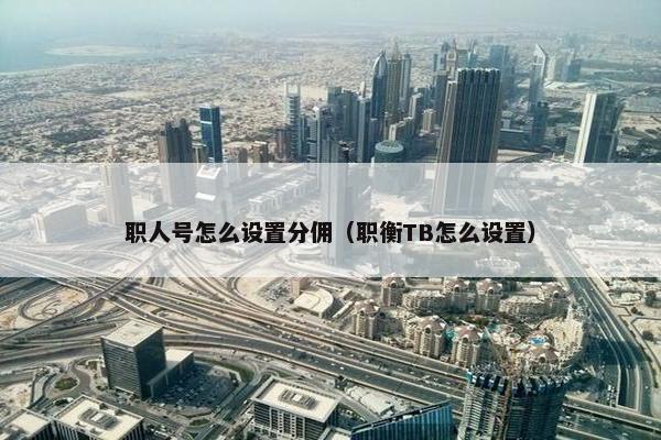 职人号怎么设置分佣（职衡TB怎么设置）