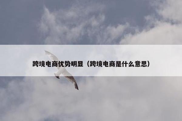 跨境电商优势明显（跨境电商是什么意思）