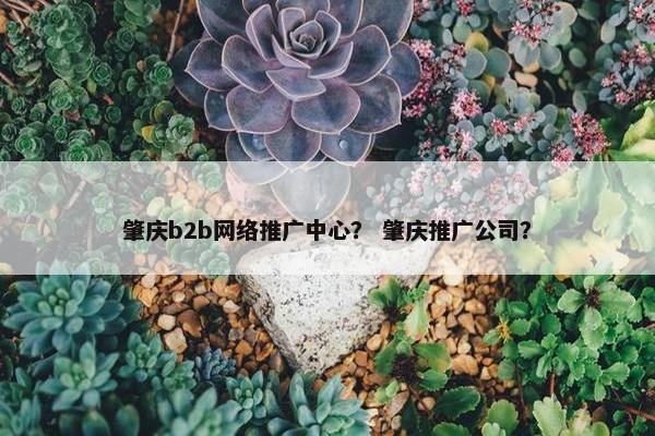 肇庆b2b网络推广中心？ 肇庆推广公司？