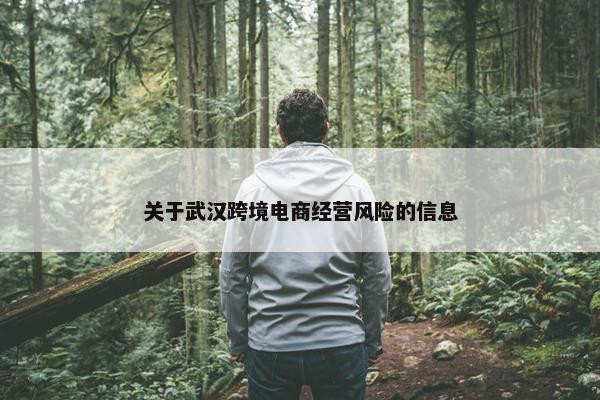 关于武汉跨境电商经营风险的信息