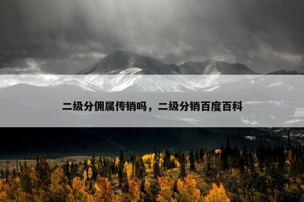 二级分佣属传销吗，二级分销百度百科