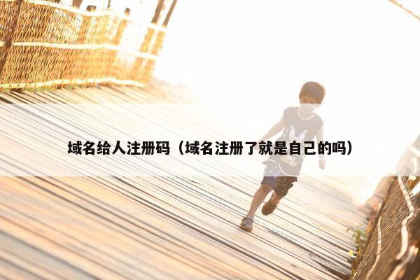 域名给人注册码（域名注册了就是自己的吗）