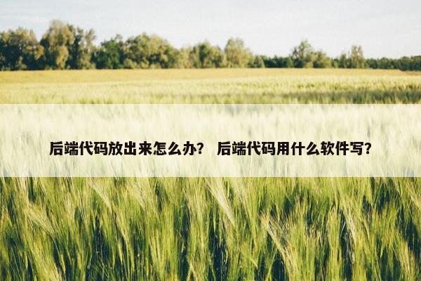 后端代码放出来怎么办？ 后端代码用什么软件写？