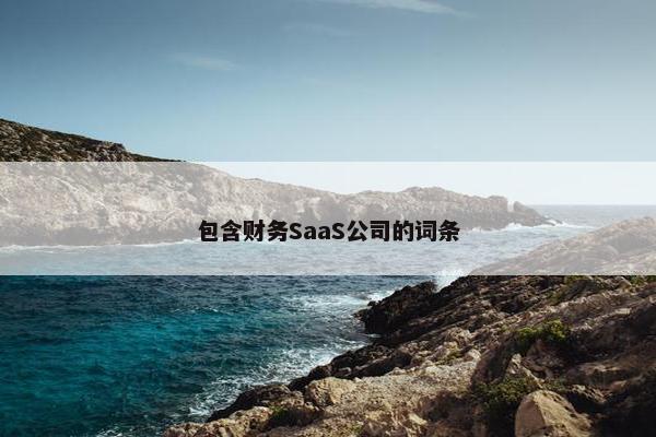 包含财务SaaS公司的词条