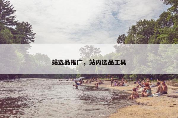 站选品推广，站内选品工具