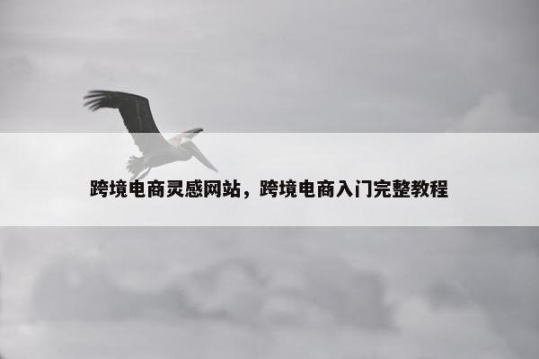 跨境电商灵感网站，跨境电商入门完整教程