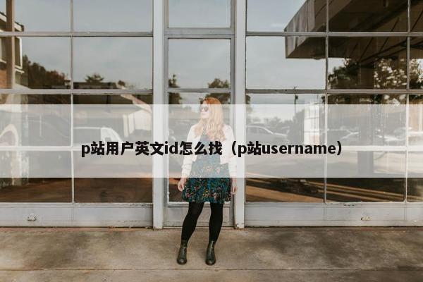 p站用户英文id怎么找（p站username）