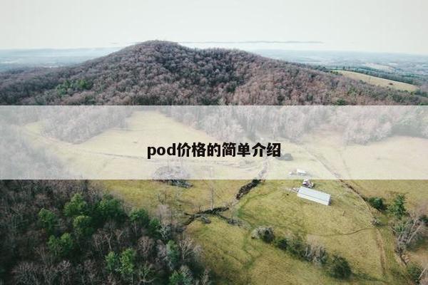 pod价格的简单介绍