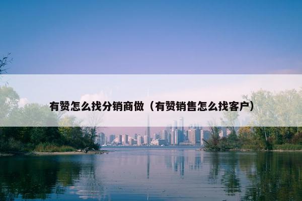 有赞怎么找分销商做（有赞销售怎么找客户）