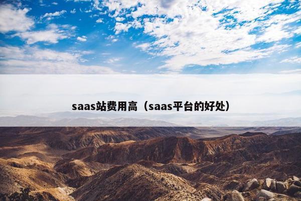 saas站费用高（saas平台的好处）