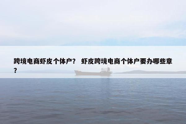 跨境电商虾皮个体户？ 虾皮跨境电商个体户要办哪些章？