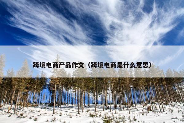 跨境电商产品作文（跨境电商是什么意思）