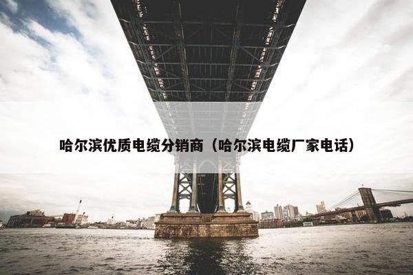 哈尔滨优质电缆分销商（哈尔滨电缆厂家电话）