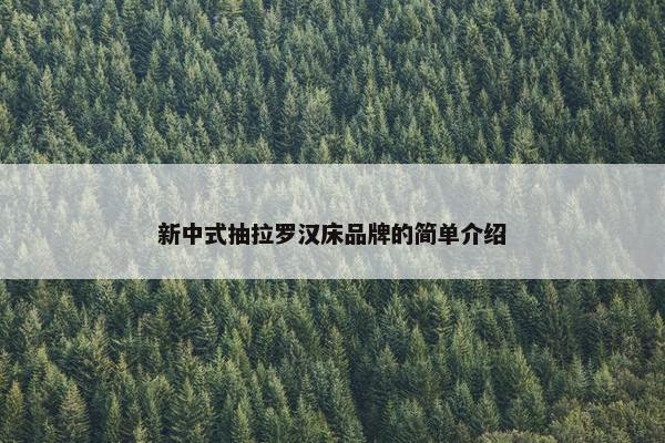 新中式抽拉罗汉床品牌的简单介绍