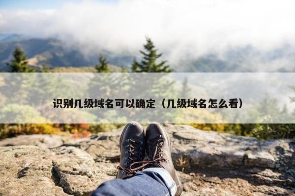 识别几级域名可以确定（几级域名怎么看）