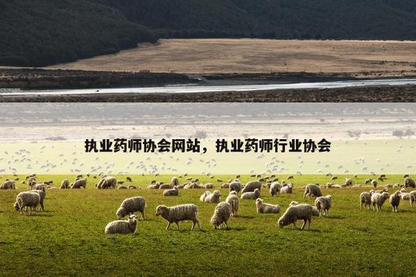 执业药师协会网站，执业药师行业协会